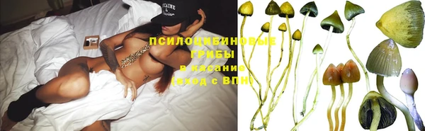 спайс Заволжск