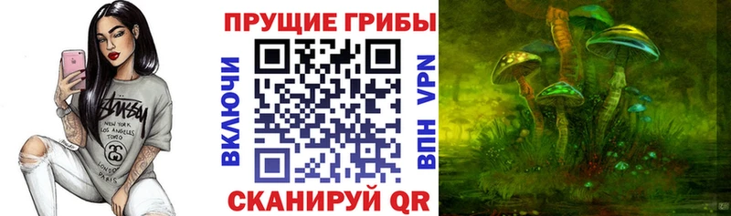 хочу Ипатово Псилоцибиновые грибы Psilocybe